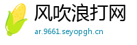 风吹浪打网
